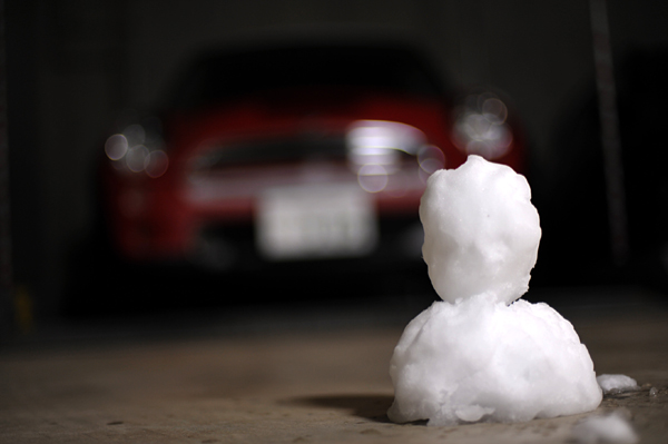 201 snow5 DSC_6265.jpg